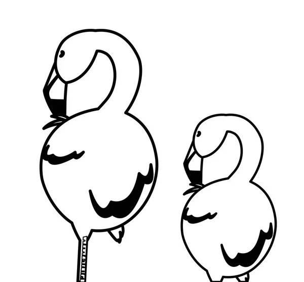 Спящая пара фламандских птиц — стоковый вектор
