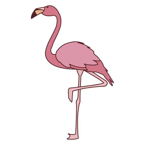 Oiseau flamand rose exotique avec tête haute — Image vectorielle