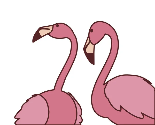 Exotiska rosa flamländska par fåglar med heads-up — Stock vektor