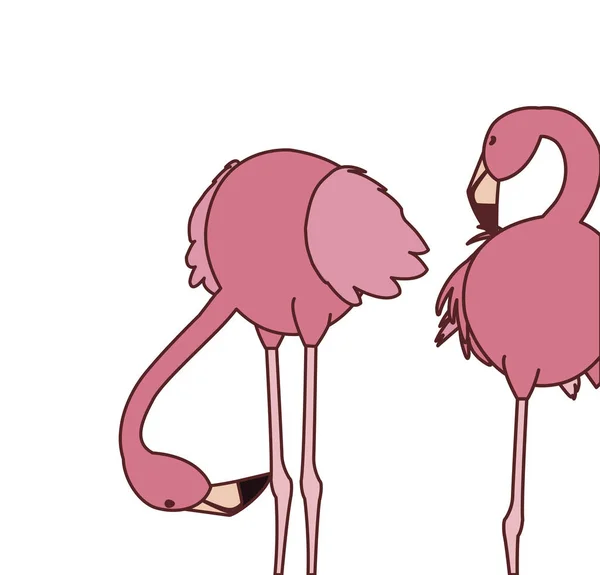 Farklı pozlar ile egzotik pembe flaman çift kuşlar — Stok Vektör