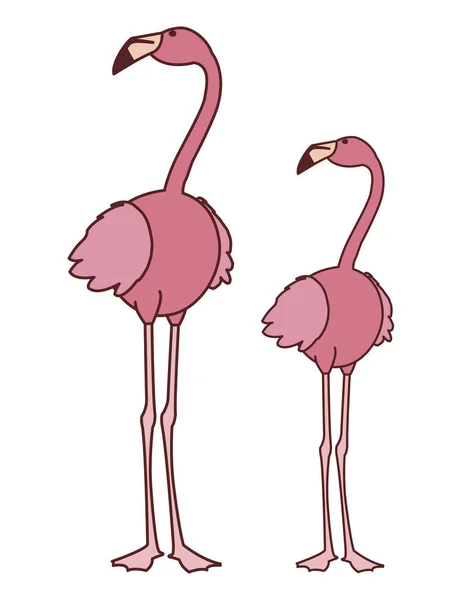 Экзотические розовые фламандские птицы с поднятыми головами — стоковый вектор