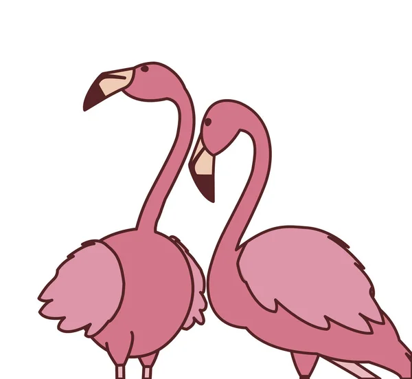 ロマンチックなポーズを持つエキゾチックなピンクのフランドルカップルの鳥 — ストックベクタ