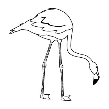 baş aşağı ile egzotik flaman kuş