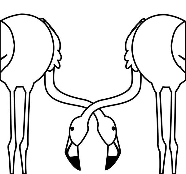 Pareja flamenca exótica aves con la cabeza hacia abajo — Archivo Imágenes Vectoriales