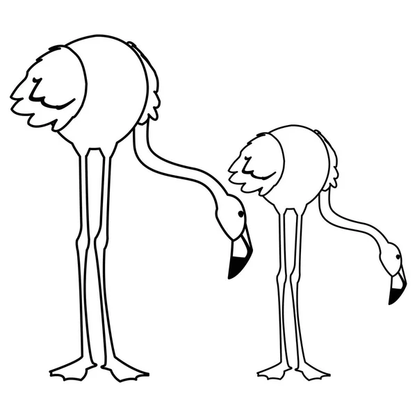 Exotiska flamländska par fåglar med huvuden ner — Stock vektor