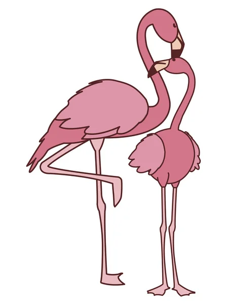 Екзотична рожева лестощі пара птахів з романтичною позою — стоковий вектор