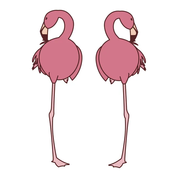 Exotic pink flemish couple birds sleeping — Stock Vector