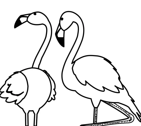 Egzotikus, flamand párok, madarak fejjel felfelé — Stock Vector