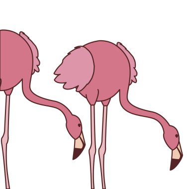 başları aşağı egzotik pembe flaman çift kuşlar