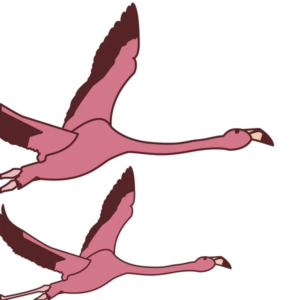 Exotische rosa flämische Vögel fliegen — Stockvektor