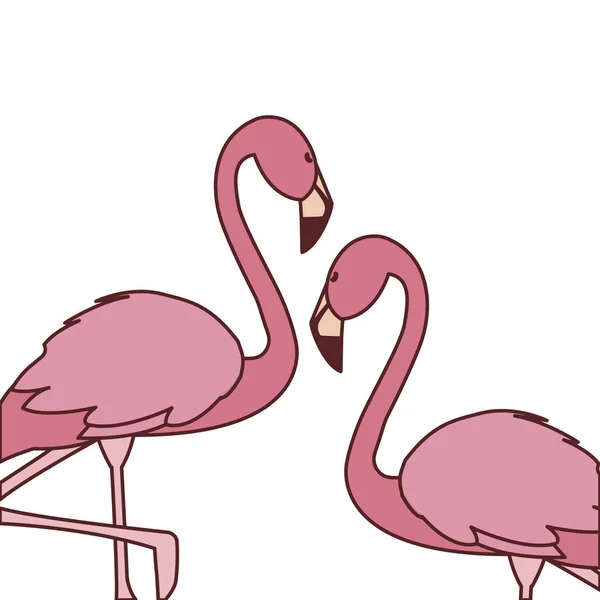 Egzotikus rózsaszín flamand pár madarak fejjel felfelé — Stock Vector