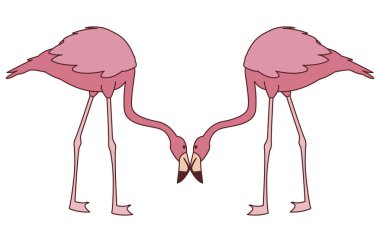 başları aşağı egzotik pembe flaman çift kuşlar