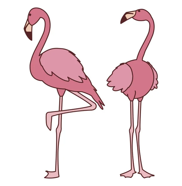 Exótico rosa flamengo par pássaros com cabeças para cima —  Vetores de Stock