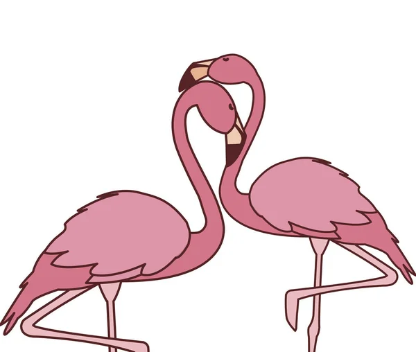 Egzotikus rózsaszín flamand pár madarak romantikus pózol — Stock Vector