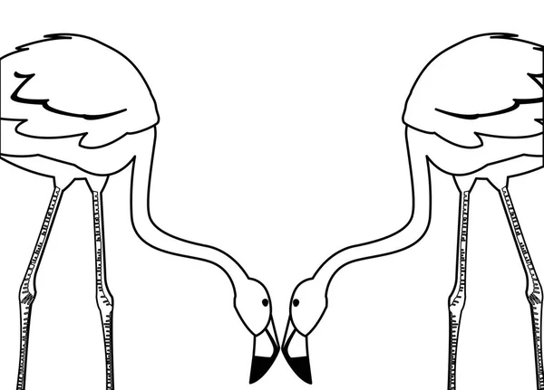Eksoottinen flaamilainen pari lintuja päät alaspäin — vektorikuva
