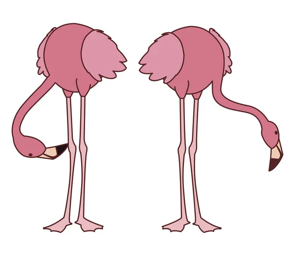 Esotico rosa fiammingo coppia uccelli con la testa verso il basso — Vettoriale Stock