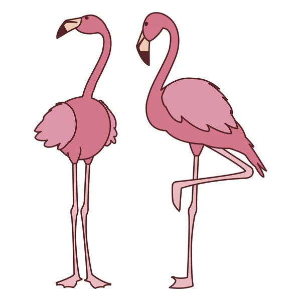 Exotische rosafarbene flämische Vögel mit erhobenen Köpfen — Stockvektor