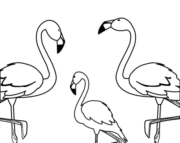 Oiseaux exotiques de la famille des flamants — Image vectorielle