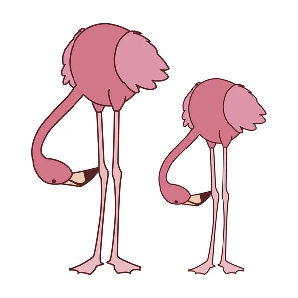 Екзотична рожева лихоманка пара птахів з головами вниз — стоковий вектор