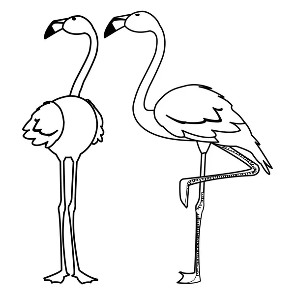 Экзотические фламандские птицы с поднятыми головами — стоковый вектор