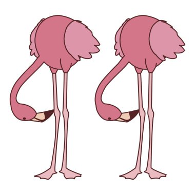 başları aşağı egzotik pembe flaman çift kuşlar