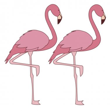 başları kadar egzotik pembe flaman çift kuşlar