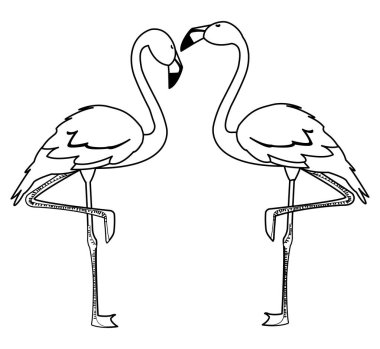başları kadar egzotik flaman çift kuşlar