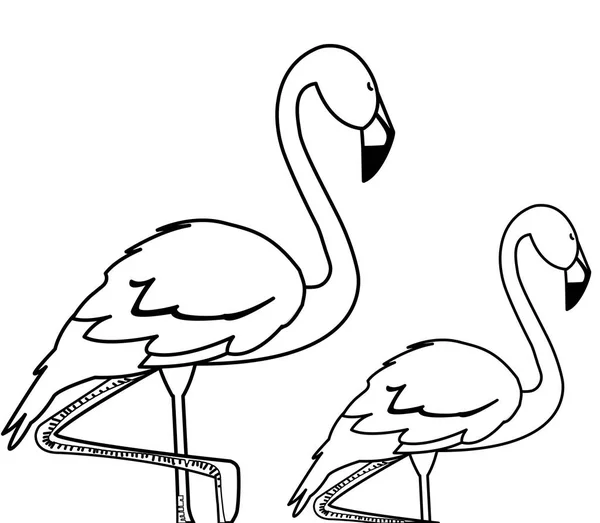 Экзотические фламандские птицы с поднятыми головами — стоковый вектор