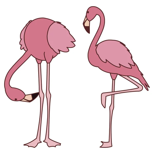 Екзотична рожева лихоманка пара птахів з різними позами — стоковий вектор
