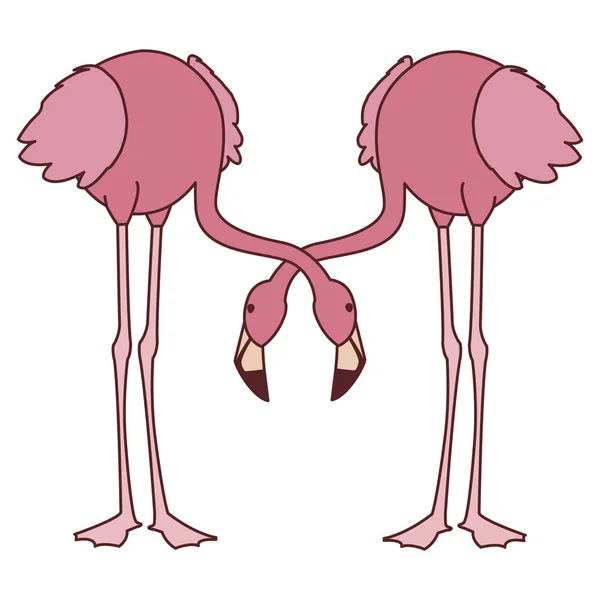 Başları aşağı egzotik pembe flaman çift kuşlar — Stok Vektör