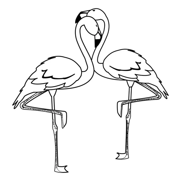 Exótico flamengo casal pássaros com cabeças para cima —  Vetores de Stock