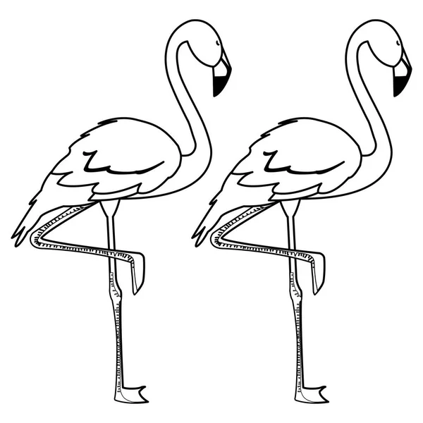 Pareja flamenca exótica aves con cabezas arriba — Archivo Imágenes Vectoriales