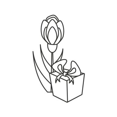 hediye kutusu mevcut doğal çiçek