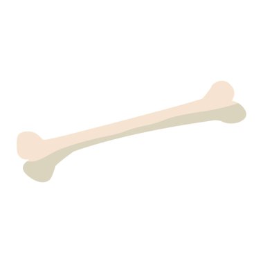 kemiğin insan izole simgesi