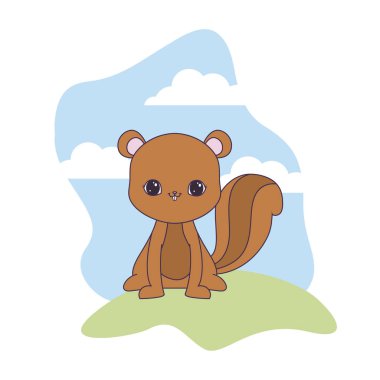 manzara doğal sevimli sincap hayvan