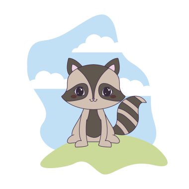 manzara doğal sevimli rakun hayvan