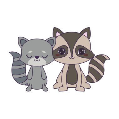 kedi hayvanlar ile sevimli rakun