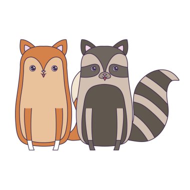 tilki hayvanlar ile sevimli rakun