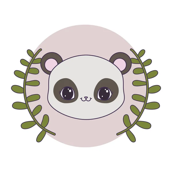 Testa di panda orso in cornice circolare con corona di foglie — Vettoriale Stock