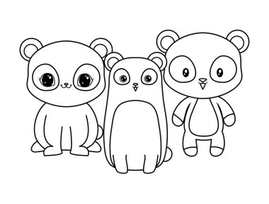 panda ayılar hayvanlar izole simgesi