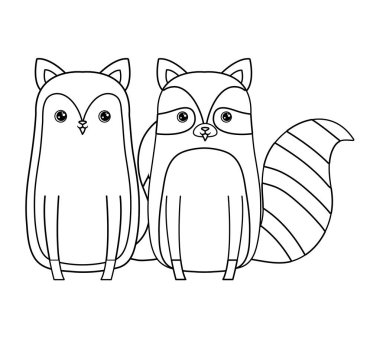 tilki hayvanlar ile sevimli rakun