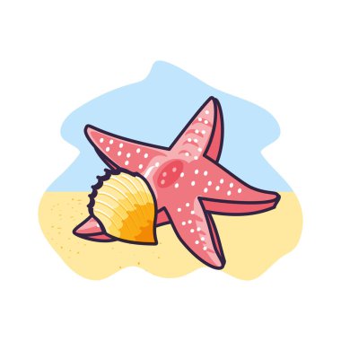 deniz kabuğu ile sevimli denizyıldızı hayvan