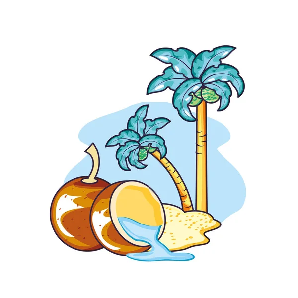 A strandon friss kókuszdió — Stock Vector