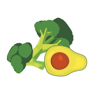 brokoli avokado taze gıda simgesi vektör ilustrate