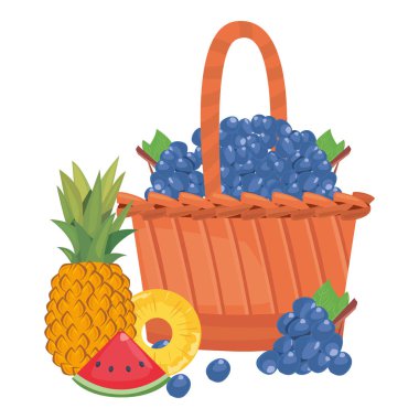 üzüm ananas karpuz taze gıda