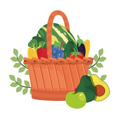 karpuz brokoli portakal avokado dalları taze gıda