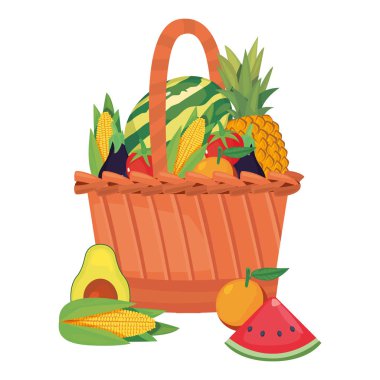 patlıcan avokado karpuz taze gıda