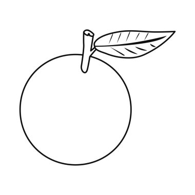 beslenme portakal lezzetli meyve taze