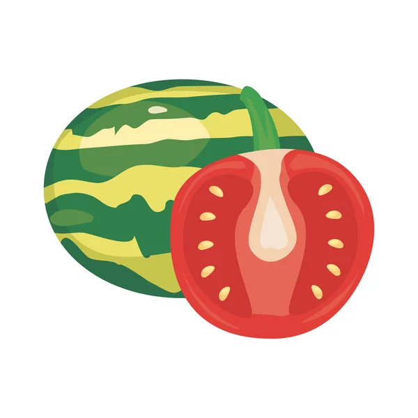 Tomate sandía fresco alimento icono vector ilustrar — Vector de stock