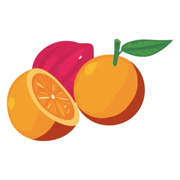 Cebolla roja naranja alimentos frescos — Vector de stock